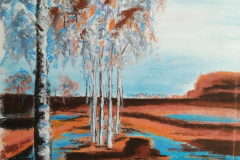IMG-20251229-WA0016